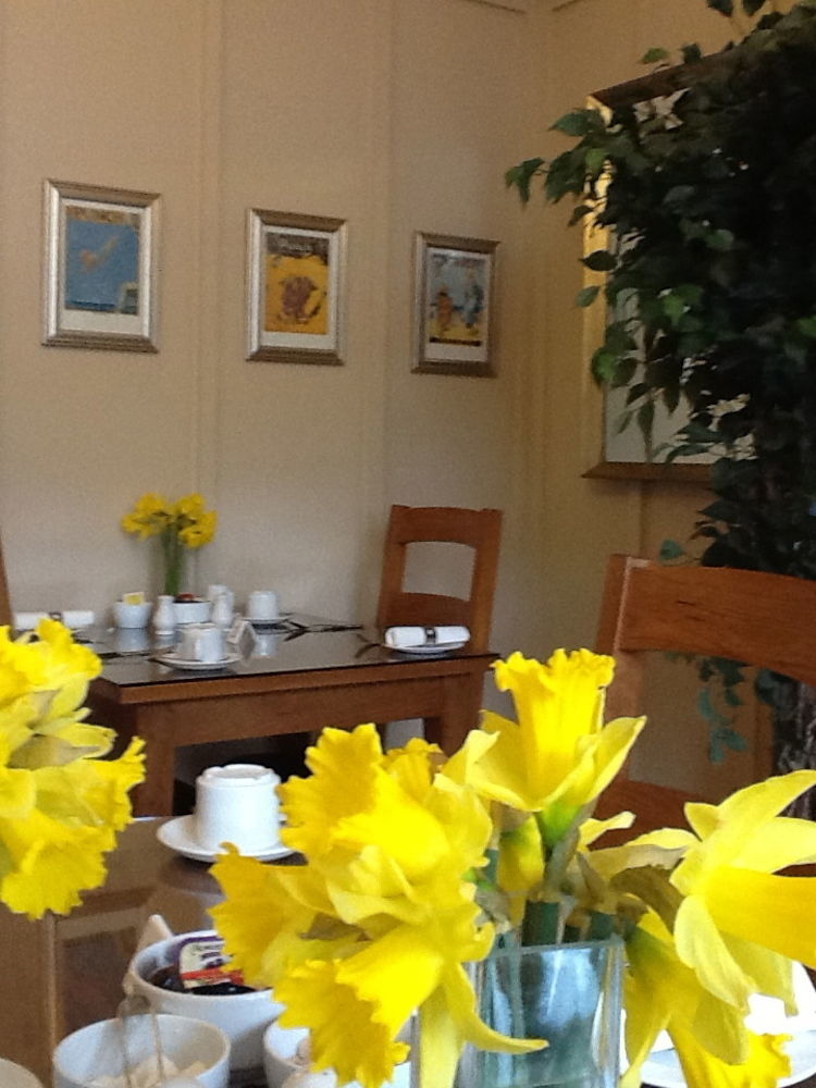 The Groveside Guest House Sidmouth Exteriör bild